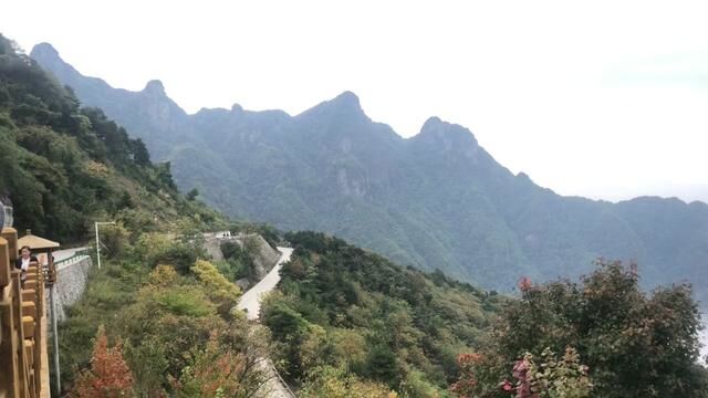 云海! #大山里的风景空气就是好 #大山深处自然美