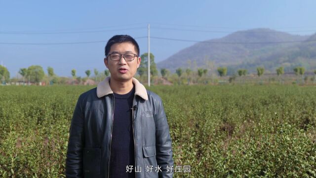 庐江县第四届“花园小城ⷨ„乡村”讲解员大赛:柯坦镇