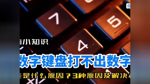 键盘数字键打不出数字的原因