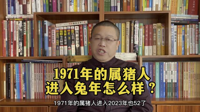 十二生肖兔年运势详解:1971年出生的属猪人兔年要注意什么?