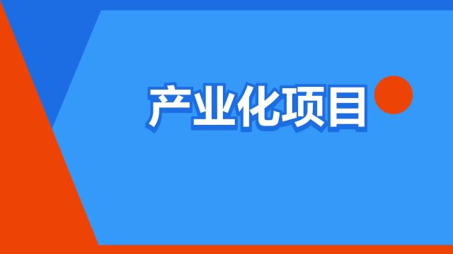 “产业化项目”是什么意思?