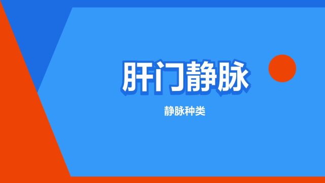 “肝门静脉”是什么意思?