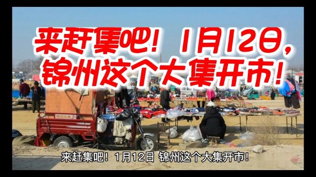 来赶集吧!1月12日,锦州这个大集开市!