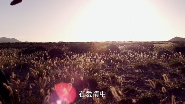 第二,学会沟通,调节好心态