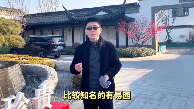 寒亭中式园林建筑群——绿城~江南赋