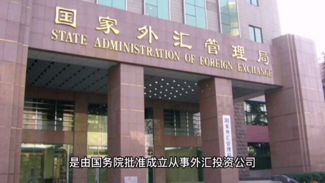 代表我们国家的主权基金