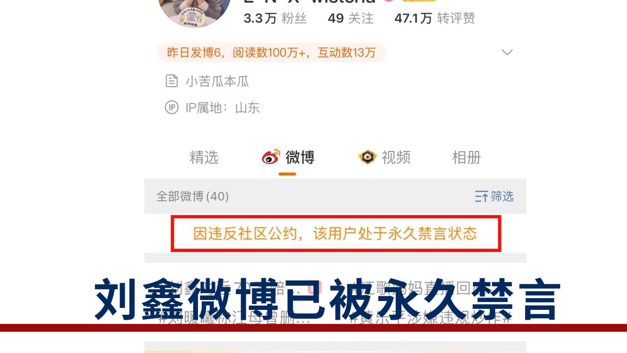 发动募捐后,刘鑫微博被永久禁言:已经不止一个账号被禁