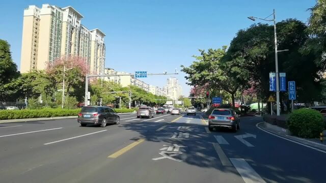 佛山市禅城区石湾镇街道绿景一路