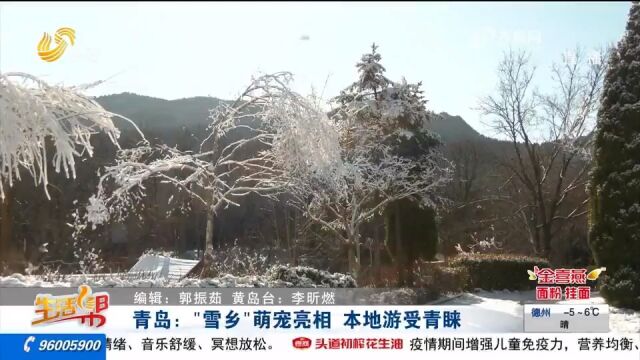 打卡!青岛森林野生动物世界成“冰雪乐园”,“雪乡”萌宠亮相