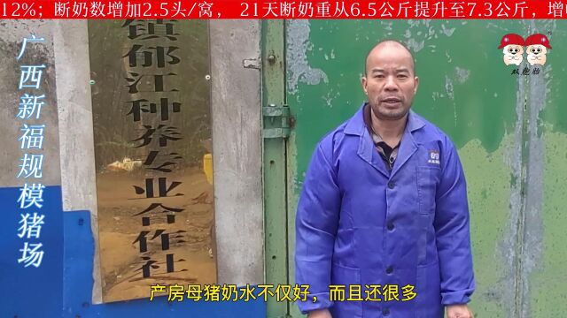 新福猪场标杆加速版