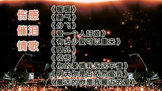 10首伤感经典老歌|梁静茹 徐怀钰 苏永康 迪克牛仔 李琛 辛晓琪 陈琳 童安格 车继铃