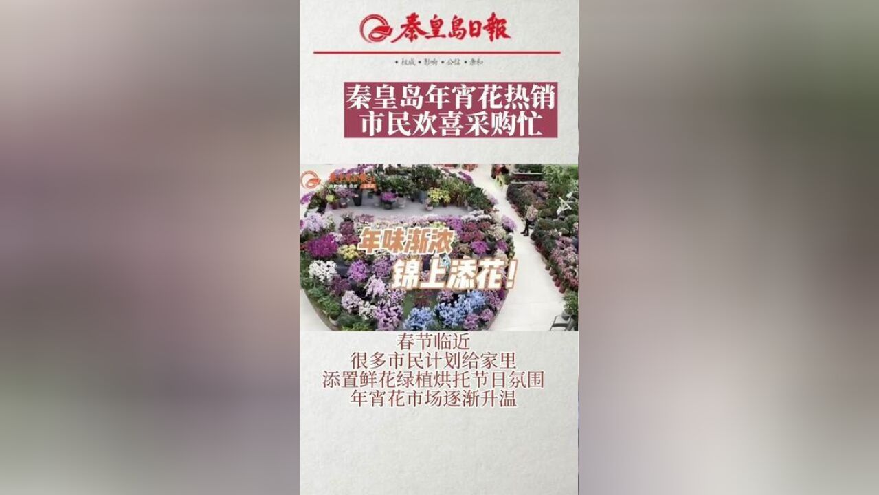 气氛组上线!秦皇岛年宵花热销,市民欢喜采购忙