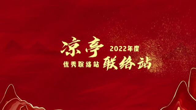 宿松县新世纪论坛公益协会优秀联络站表彰2022年度