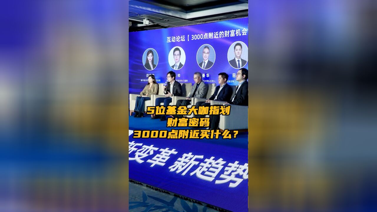 5位基金大咖指划财富密码:3000点附近买什么?