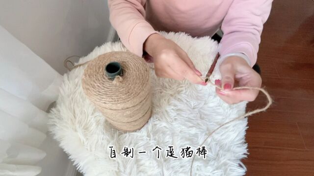 给我的怨种猫➡️制作猫玩具 #环保制作#手工DIY