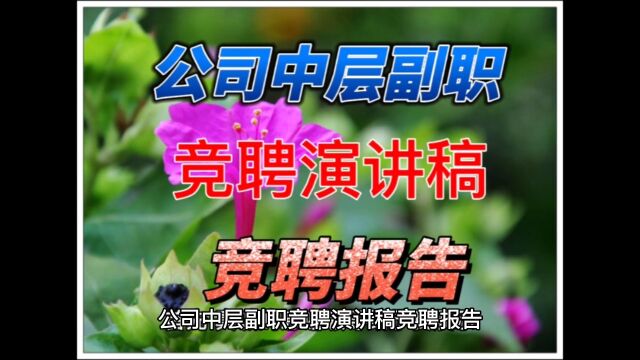 公司中层副职竞聘演讲稿竞聘报告