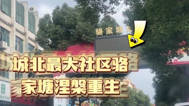 骆家塘金华江北最大社区,曾经繁华会重现吗? #城市街拍