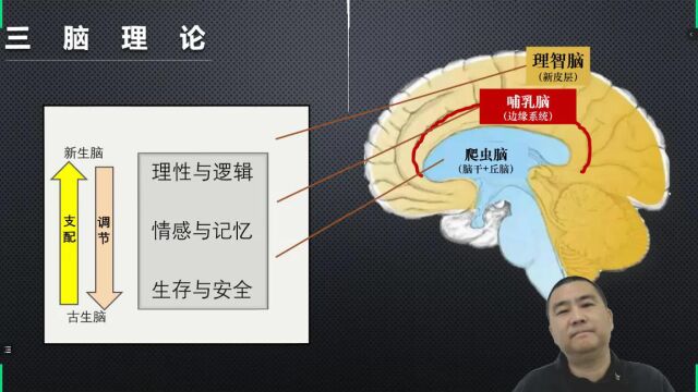 家长应该了解的脑科学知识“新异信息”天然吸引关注1