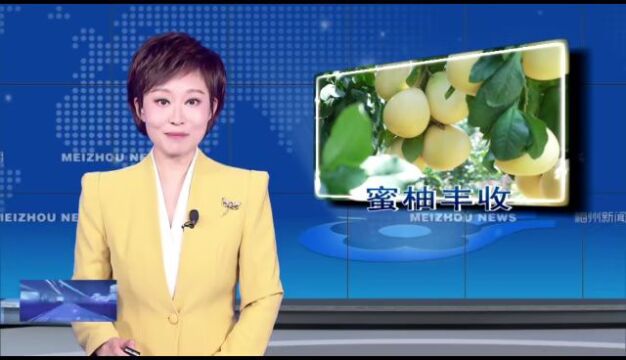 大埔:21.9万亩蜜柚丰收上市 龙头带动果农增收致富