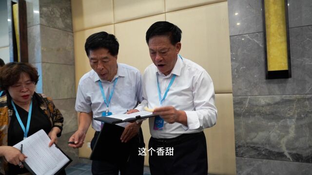 2023山东农技杯晚熟桃大赛来了