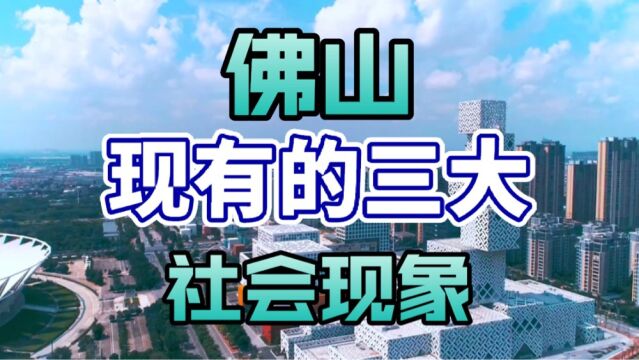 佛山作为广东省的重要城市,它现有的社会现象让人惊艳!