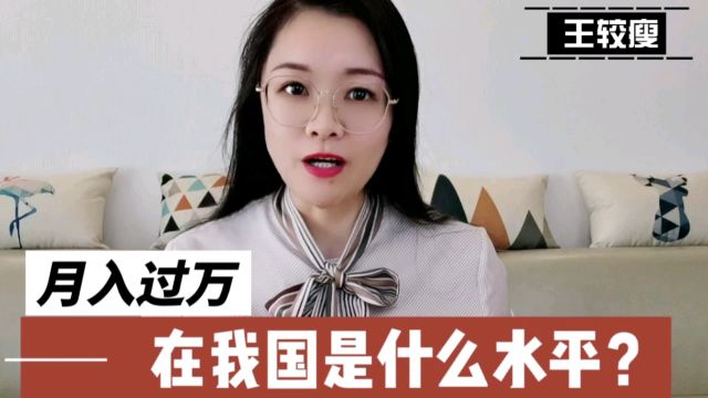 在我国月入过万是什么水平?