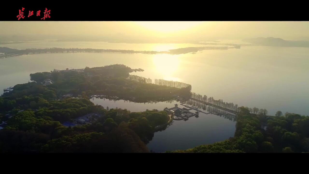 2月6日起,东湖牡丹园邀你免费来逛