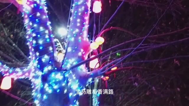 春节夜景灯光