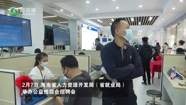 导师现场指导+1500多个岗位揽才 海南这场综合招聘会成功举办