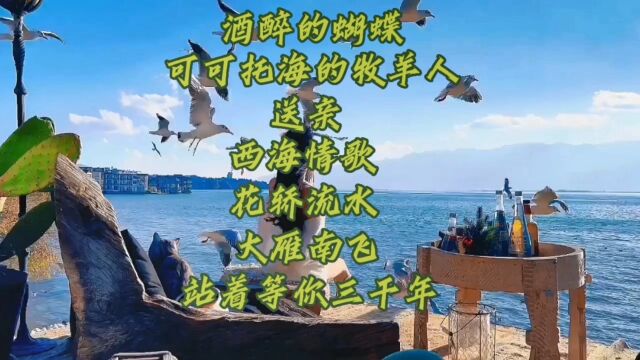 金曲《酒醉的蝴蝶、可可托海的牧羊人、送亲、西海情歌、花轿流水、大雁南飞、站着等你三千年》