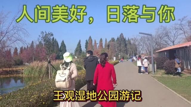 游昆明王观湿地公园,观海鸥,偶遇桃花岛,里面有黄蓉吗? #喂海鸥 #海鸥和你 #红嘴海鸥 #带你去看海鸥