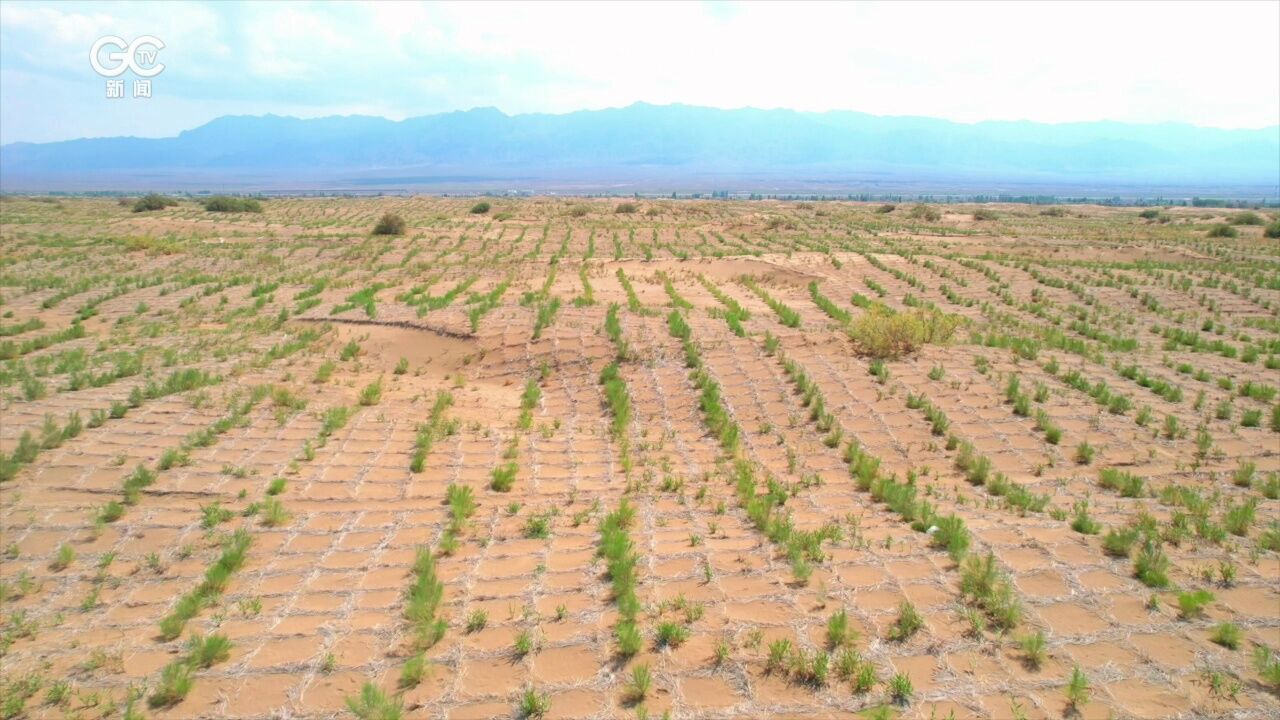 国家林草局和中国银行全面启动战略合作