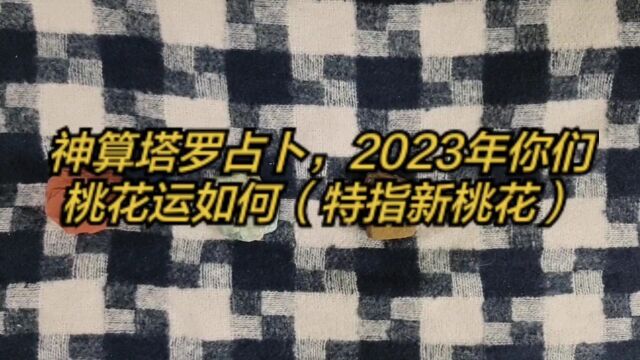 神算塔罗占卜,2023年你们桃花运如何(特指新桃花)