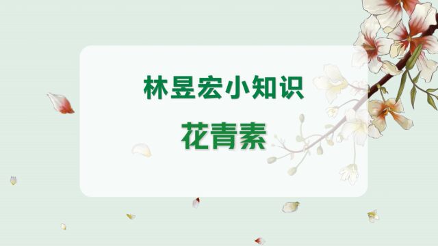 林昱宏小知识:花青素