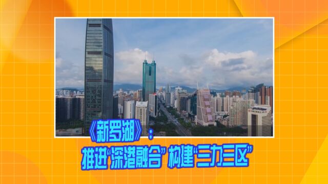 《新罗湖》:推进“深港融合” 构建“三力三区”