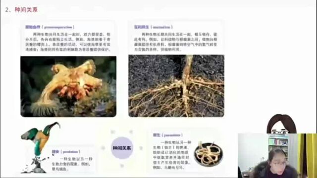 2023高三高中周芳煜生物