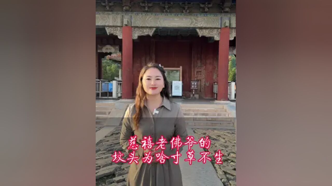 慈禧太后的坟头为何寸草不生?她的陪葬品到底有多少?#湖北星旅播 #慈禧