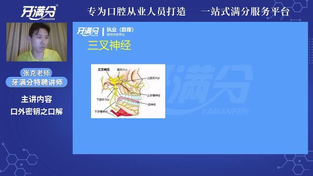 【执业/助理】基础精讲口解——三叉神经