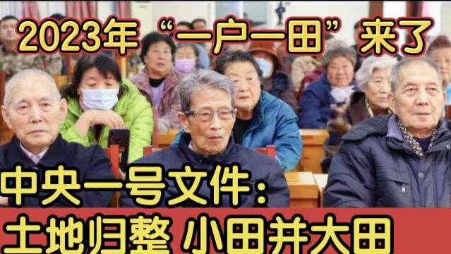 2023年“一户一田”来了!中央一号文件:土地归整,小田并大田