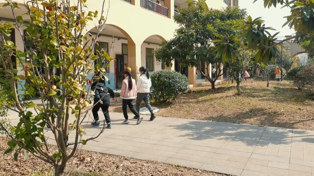 龙山湖小学春天的景色,点滴记录校园时光,孩子们健康成长