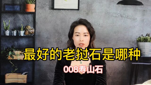 最好的老挝石是哪种?008寿山石讲解