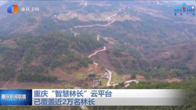 重庆“智慧林长”云平台已覆盖近2万名林长