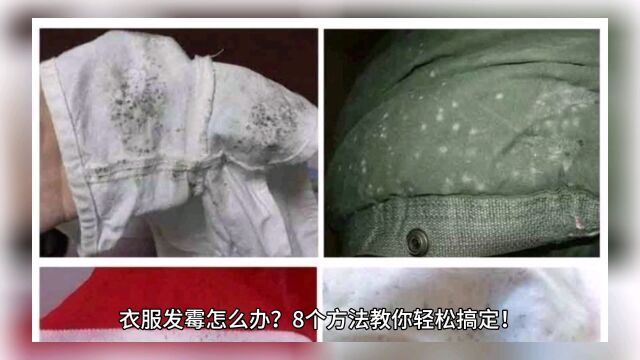 衣服发霉怎么办,8个方法帮你搞定