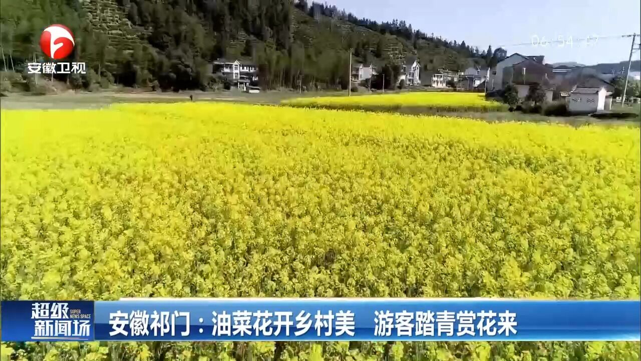 安徽祁门:油菜花开乡村美,游客踏青赏花来