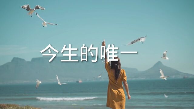 情感歌曲《今生的唯一》