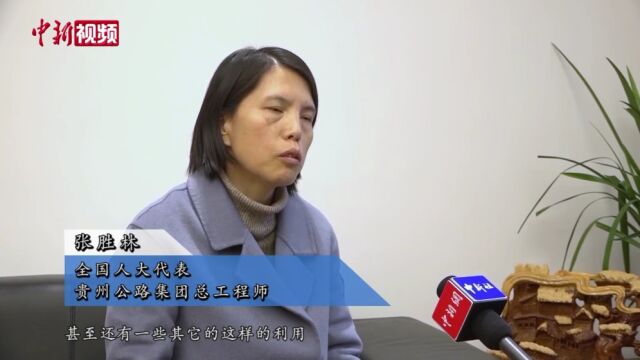 【两会声音】全国人大代表张胜林:向世界路桥建设贡献“贵州方案”