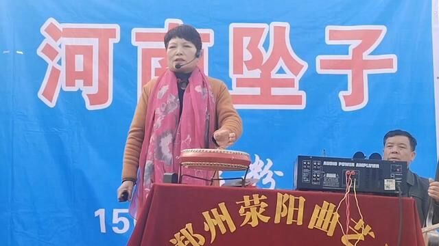 河南坠子白龙马搬兵:第四集、演唱袁雪粉i李春菊:伴奏白宝山 #曲艺传承 #曲艺