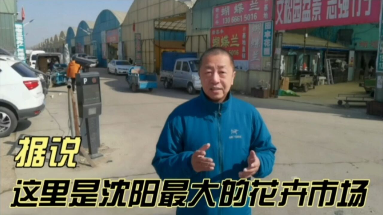 据说,这里是沈阳最大的花卉市场,你去过吗?