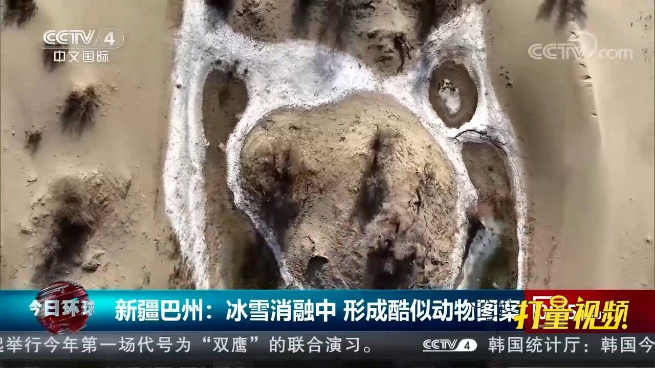 冰雪消融!罗布淖尔国家湿地公园形成许多酷似动物图案