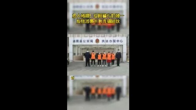 多人被抓!安阳警方打掉一发放涉黄卡片诈骗团伙